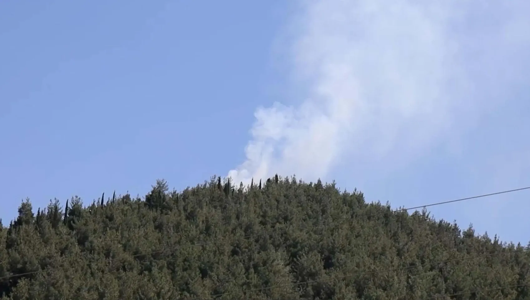 Manisa Turgutlu'daki orman yangını kısa sürede söndürüldü