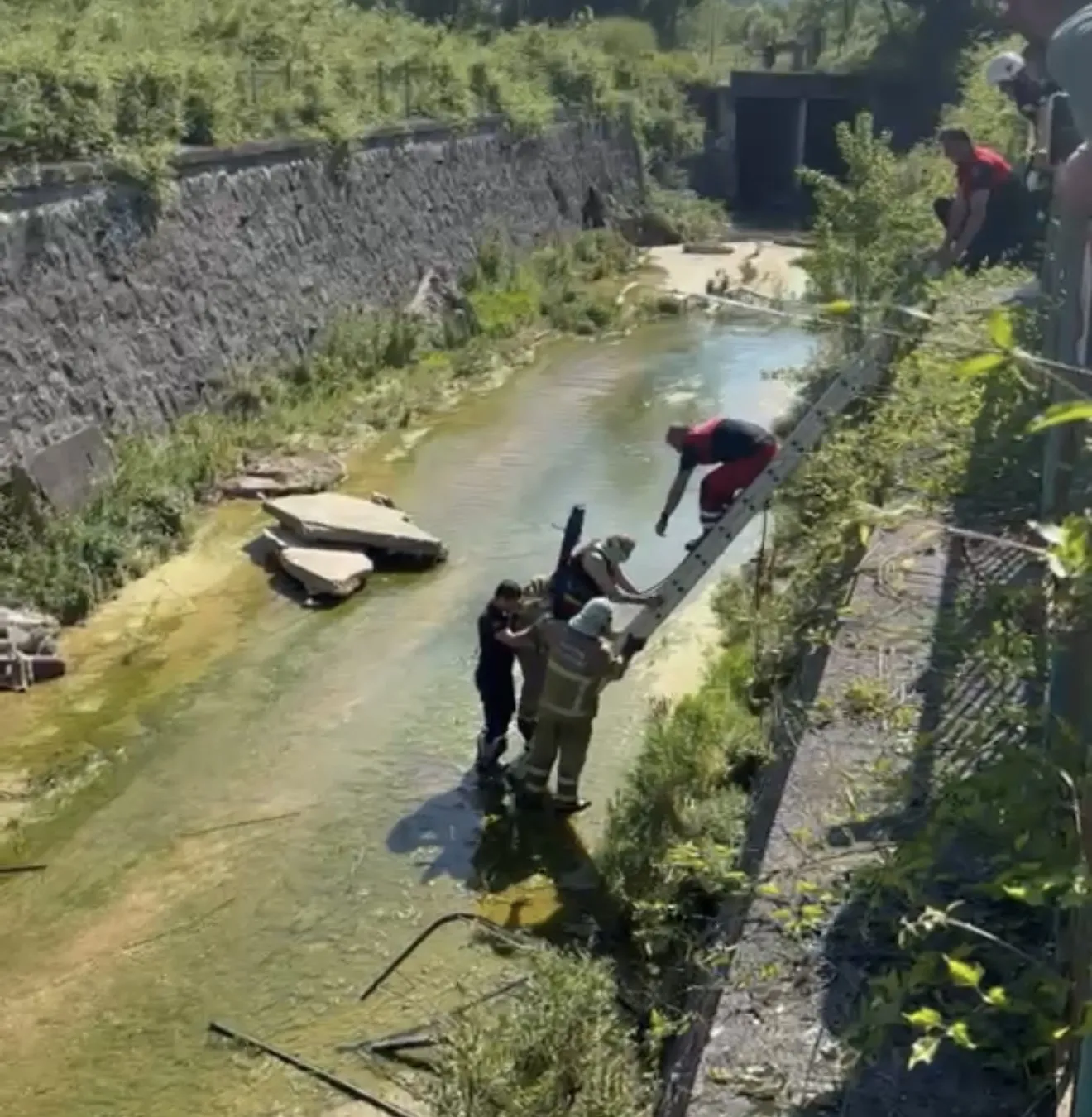 Bartın yolunda otomobil beş metreden dereye uçtu