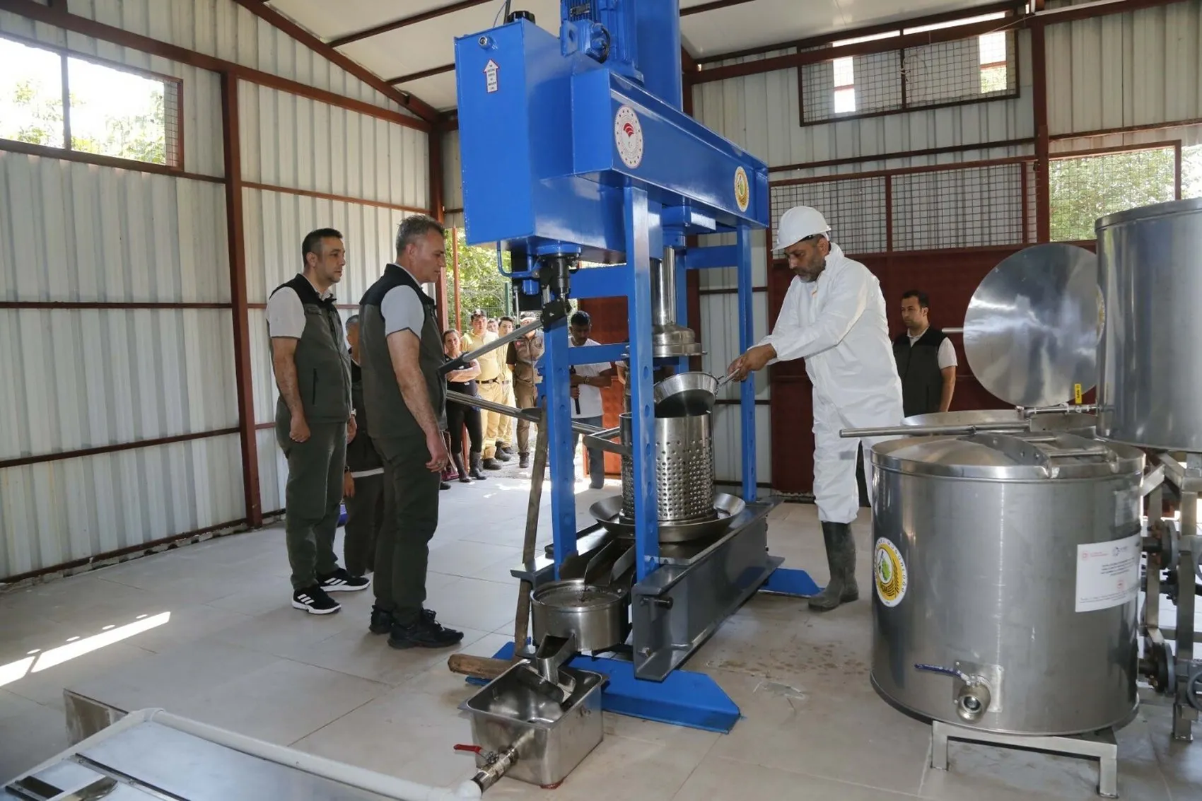 Köyceğiz’de bin yıllık şifa sığla yağı sezonu açıldı