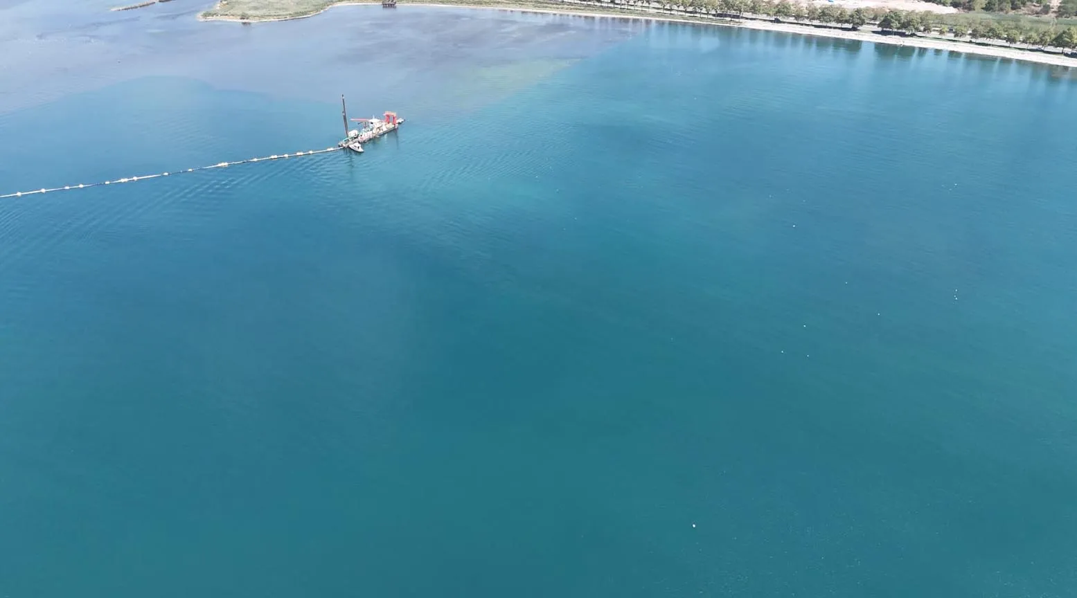 İzmit Körfezi temizlendi deniz canlıları geri döndü