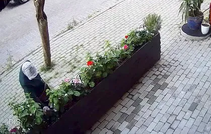 Avcılar'da çiçek hırsızlığı kameraya yansıdı
