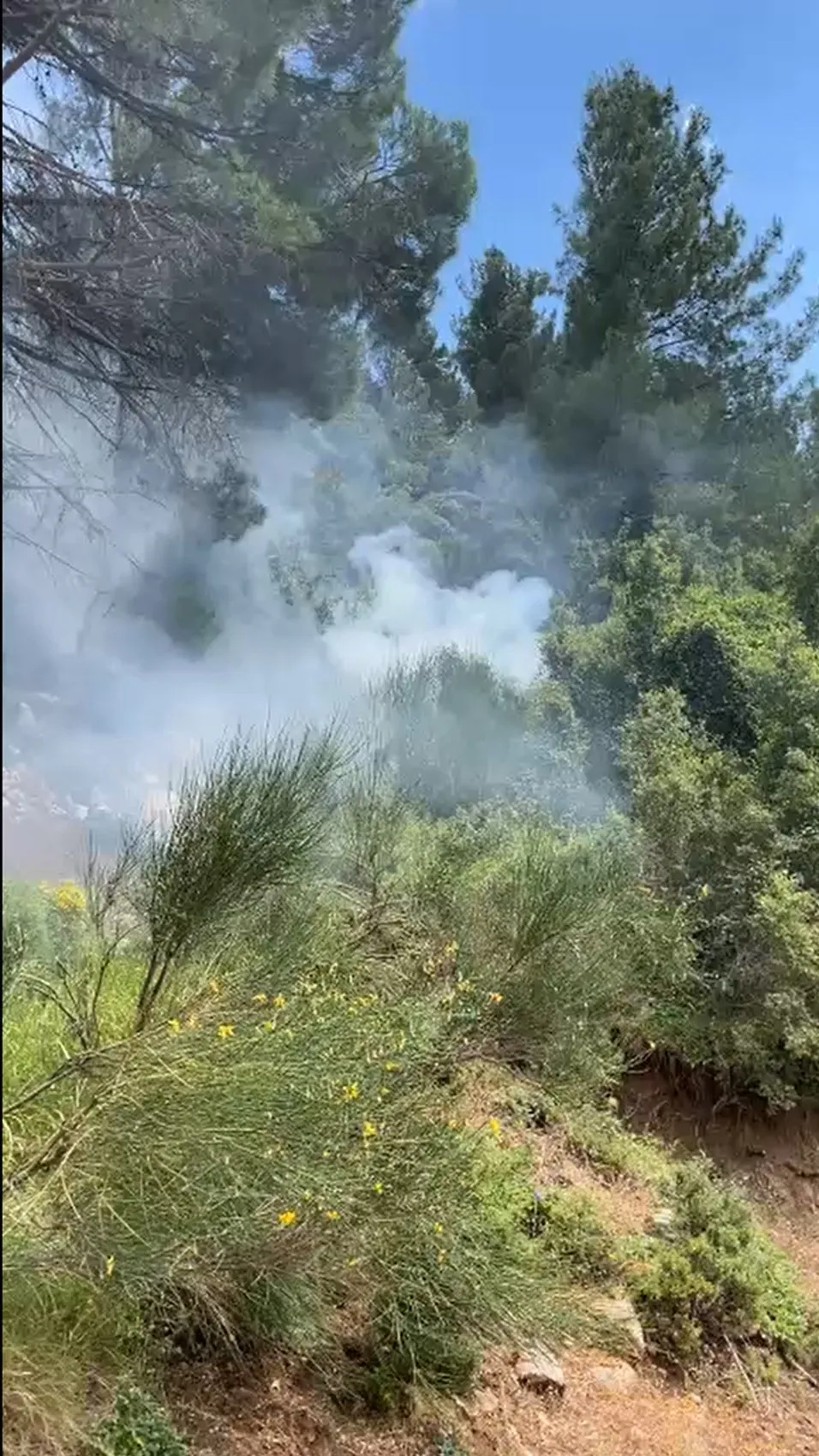 Kaş’ta orman yangını korkuttu ekipler hızla söndürdü