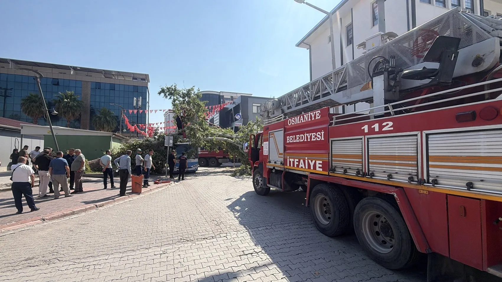 Osmaniye'de durakta bekleyen otobüsün üzerine ağaç devrildi