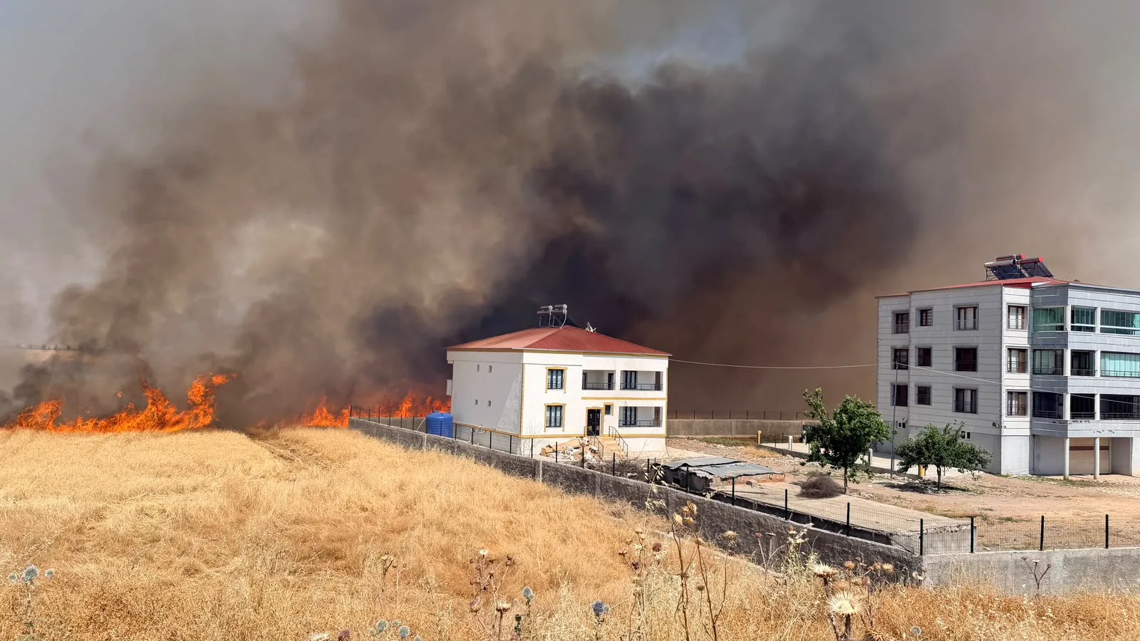 Diyarbakır'da anız yangını yerleşim yerlerini tehdit etti