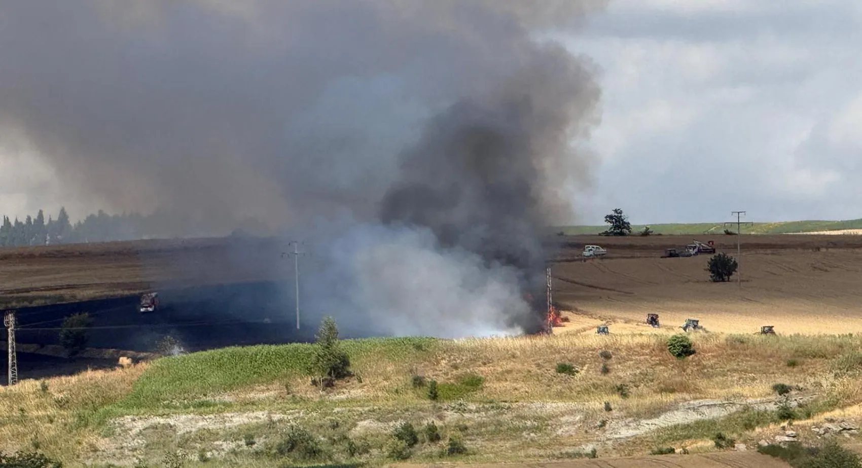 Tekirdağ'da hasat öncesi büyük yangın 100 dekar buğday küle döndü