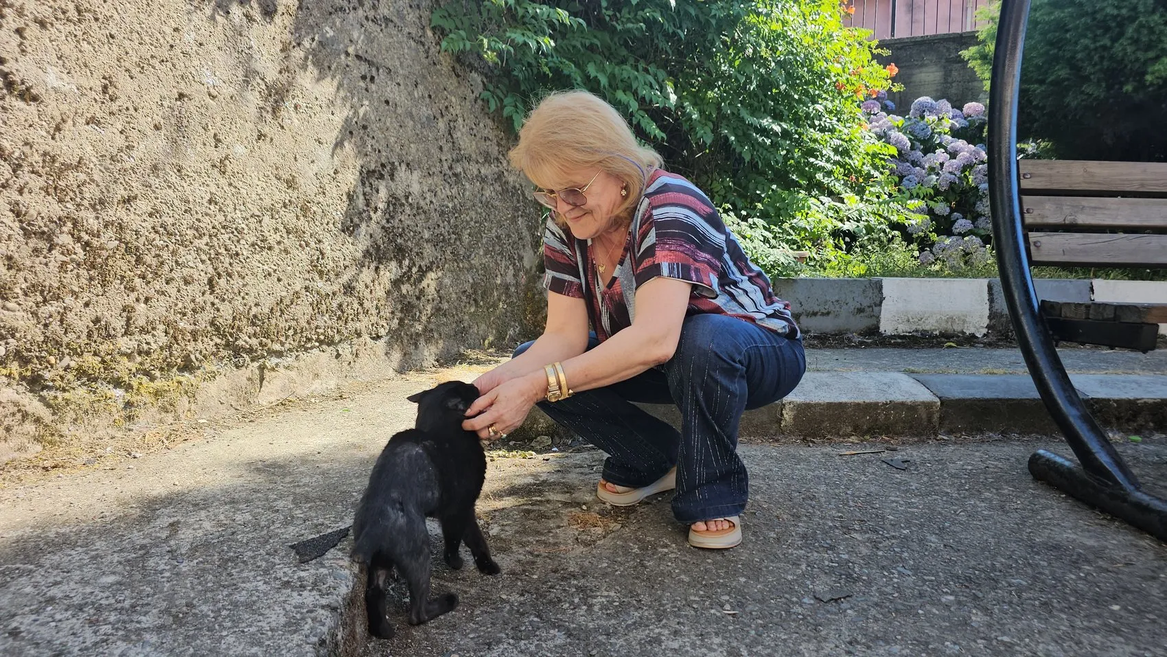 Zonguldak'ta öğretmenlerin örnek duyarlılığı Yaralı kediyi hayata döndürdüler