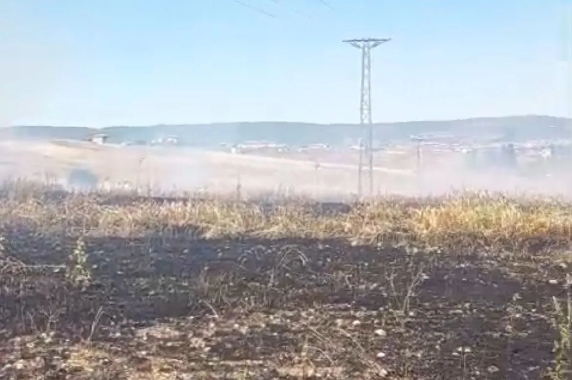 Kütahya’da hasat vakti çıkan yangın tarlayı küle çevirdi