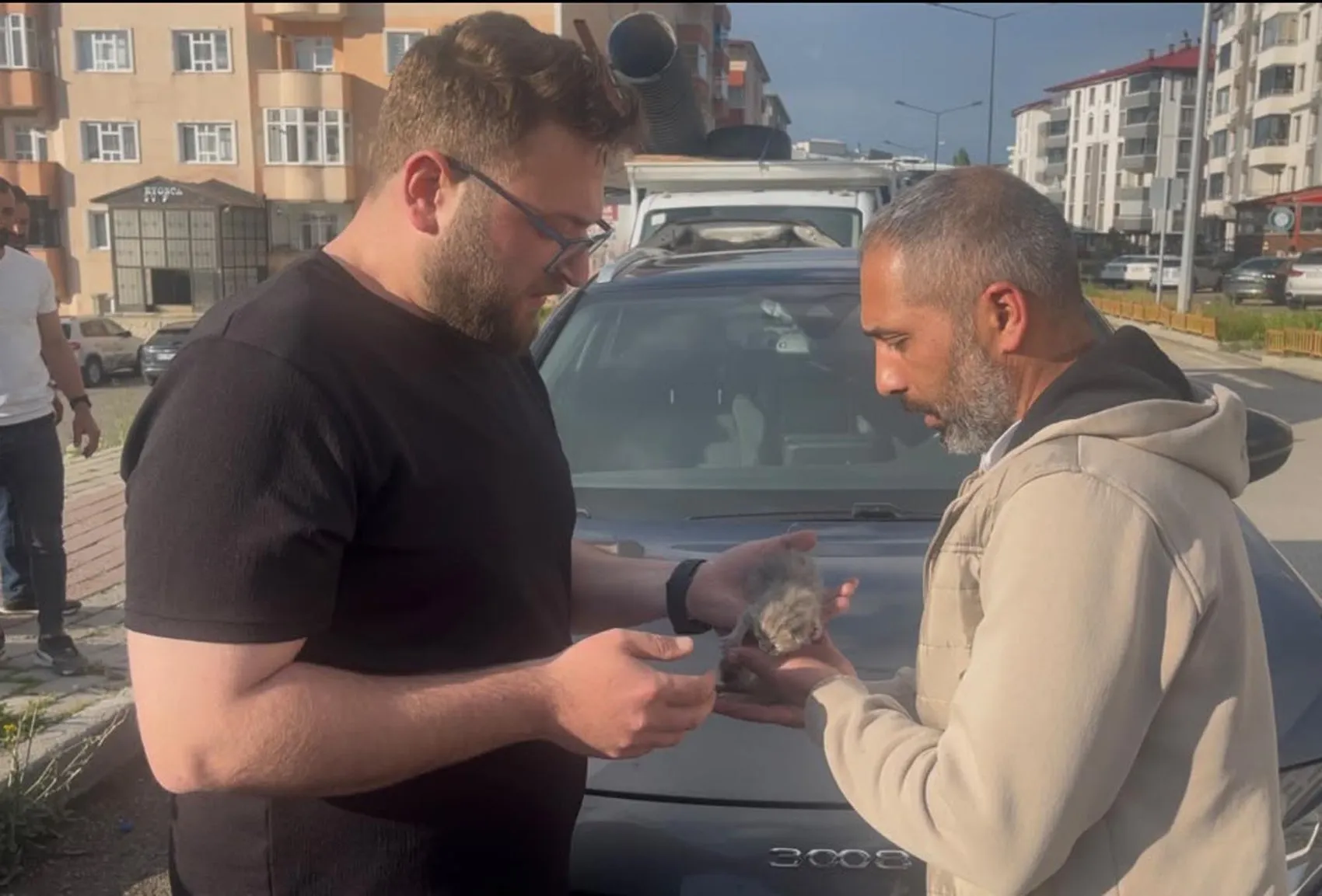 Erzurum'da otomobilin motoruna gizlenen yavrular itfaiye ile kurtarıldı