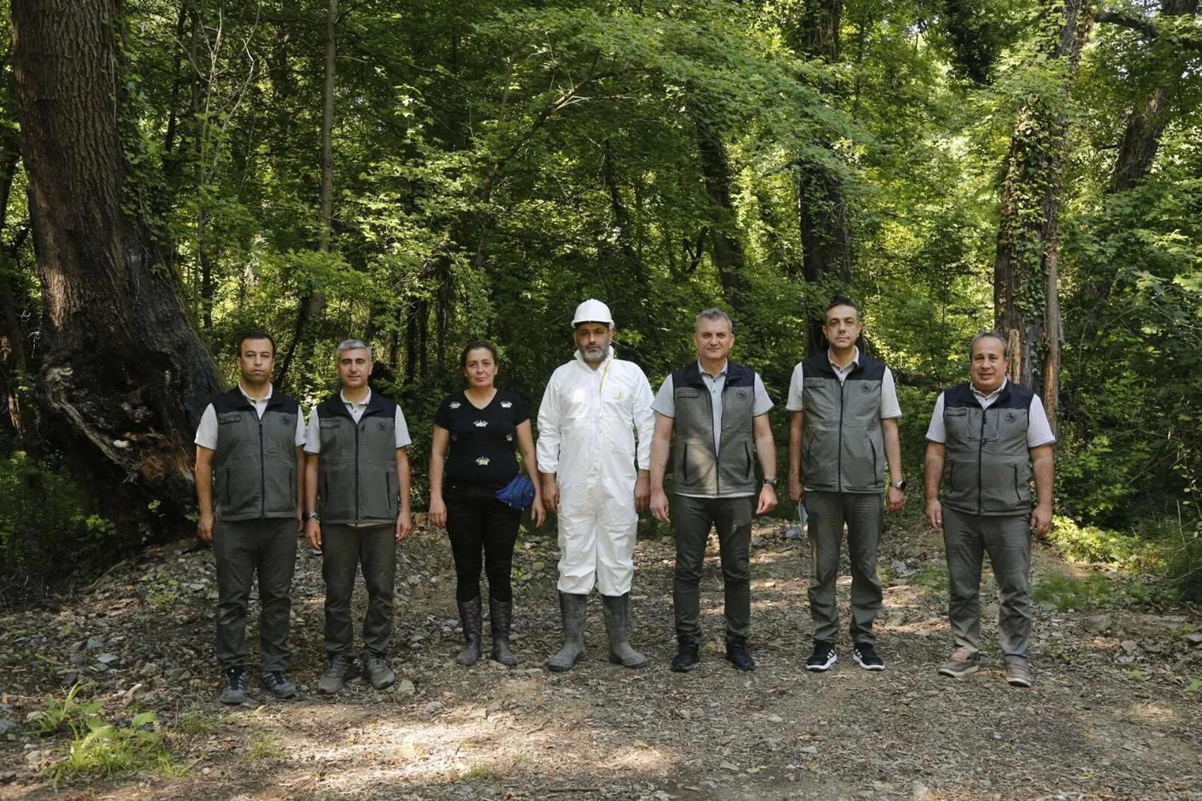 Köyceğiz’de bin yıllık şifa sığla yağı sezonu açıldı