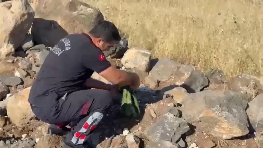 Urfa'da piknik yapan aileyi şoke eden davetsiz misafir