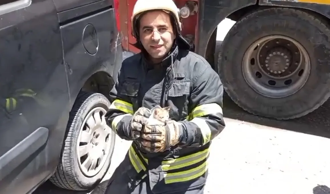 Arsuz’da araç motoruna sıkışan yavru kedi kurtarıldı