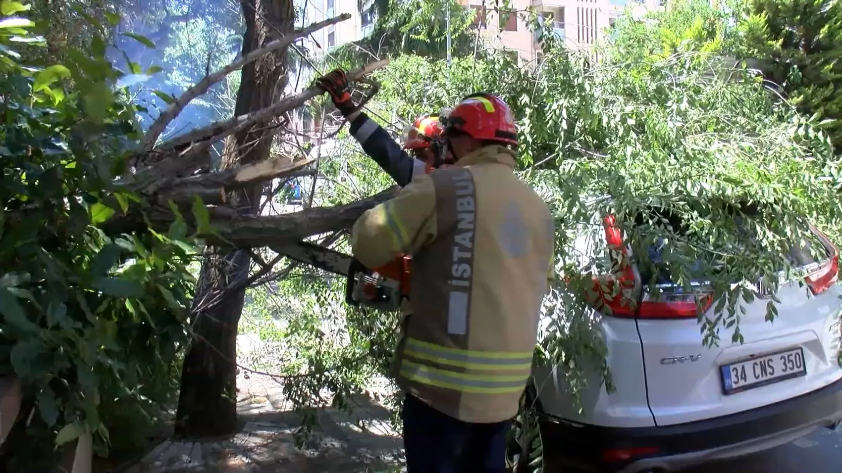 Kozyatağı’nda park halindeki aracın üzerine ağaç dalı devrildi