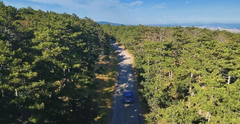 Çanakkale ormanlarında jandarma nöbeti başladı