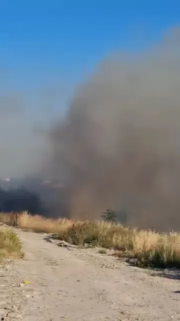 Avcılar'da kuru otlar alev alınca düğün alanı boşaltıldı