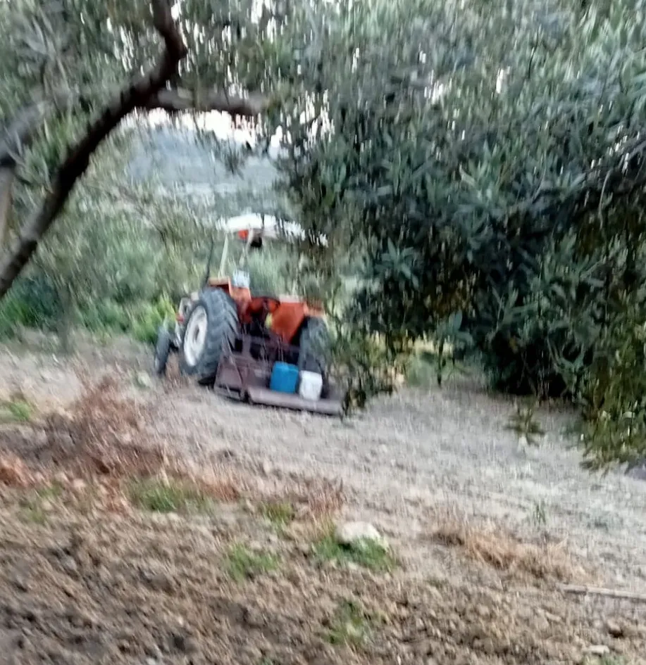 Tarsus'ta traktör kazası Bir kişi hayatını kaybetti