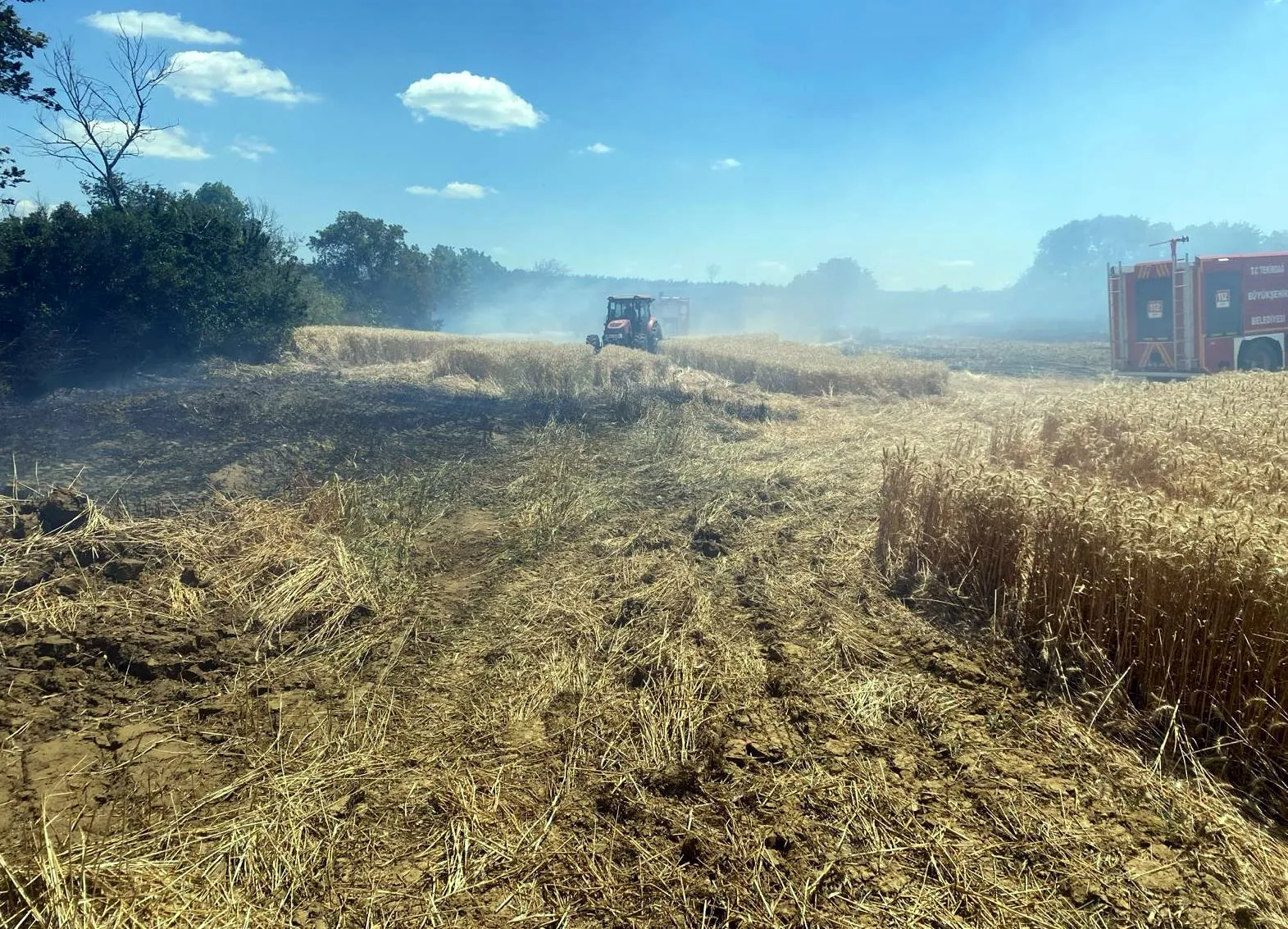 Tekirdağ'da buğday tarlaları kül oldu