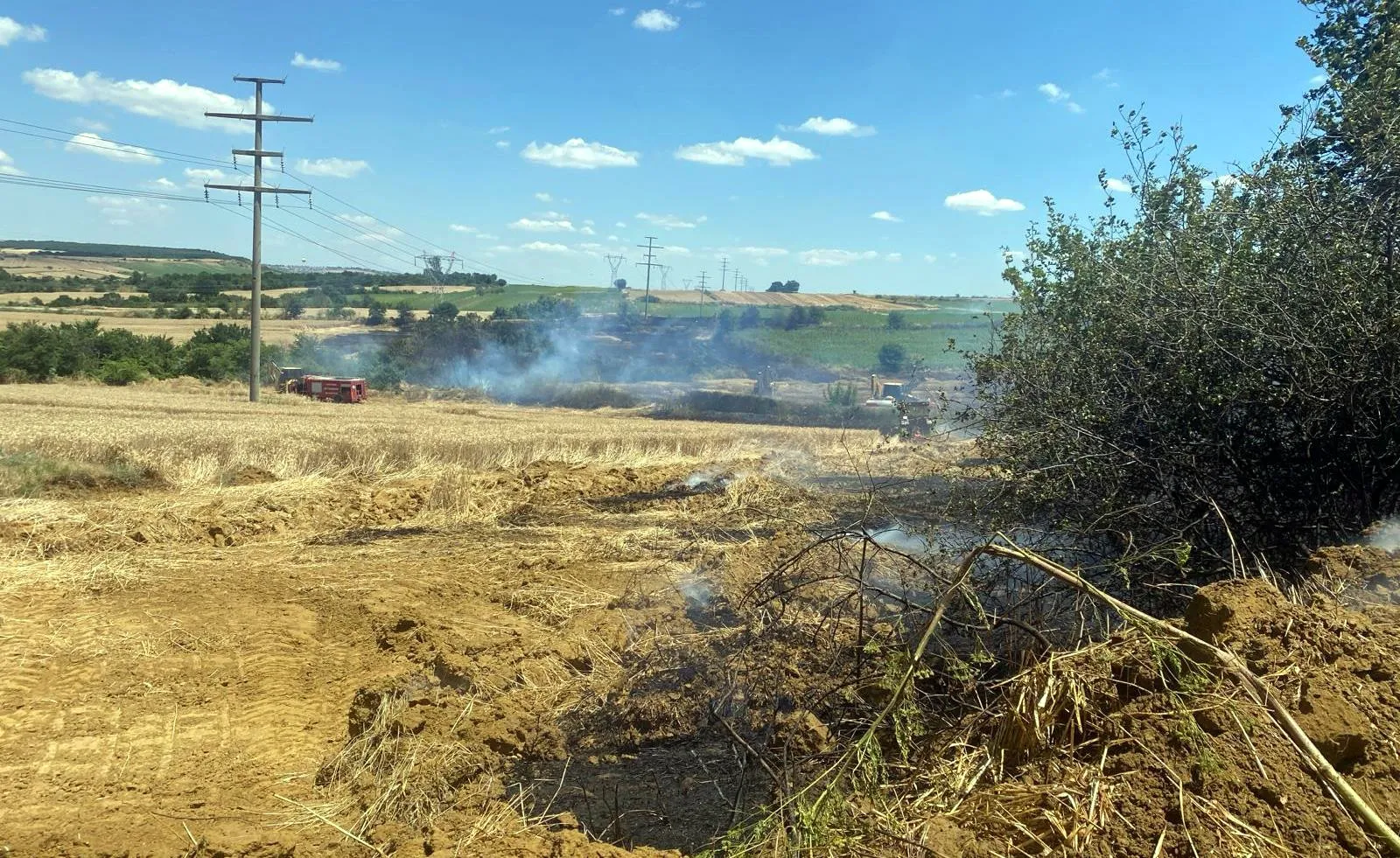 Tekirdağ'da buğday tarlaları kül oldu