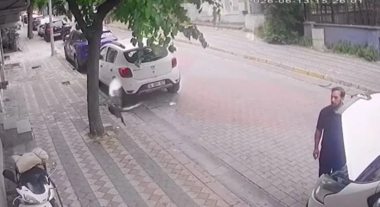 Sultangazi'de sürücülerin direksiyon ve kaput sürprizi