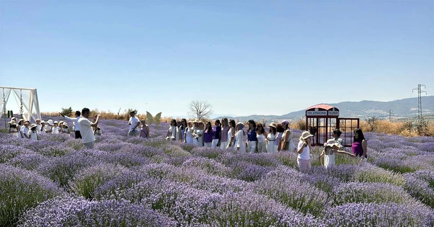 Tekirdağlı öğrenciler karnelerini mor lavanta tarlasında aldı