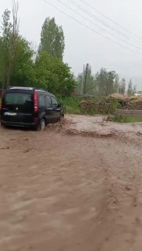 Sivas'ın Ulaş ilçesinde dolu yağışı tarım arazilerini vurdu