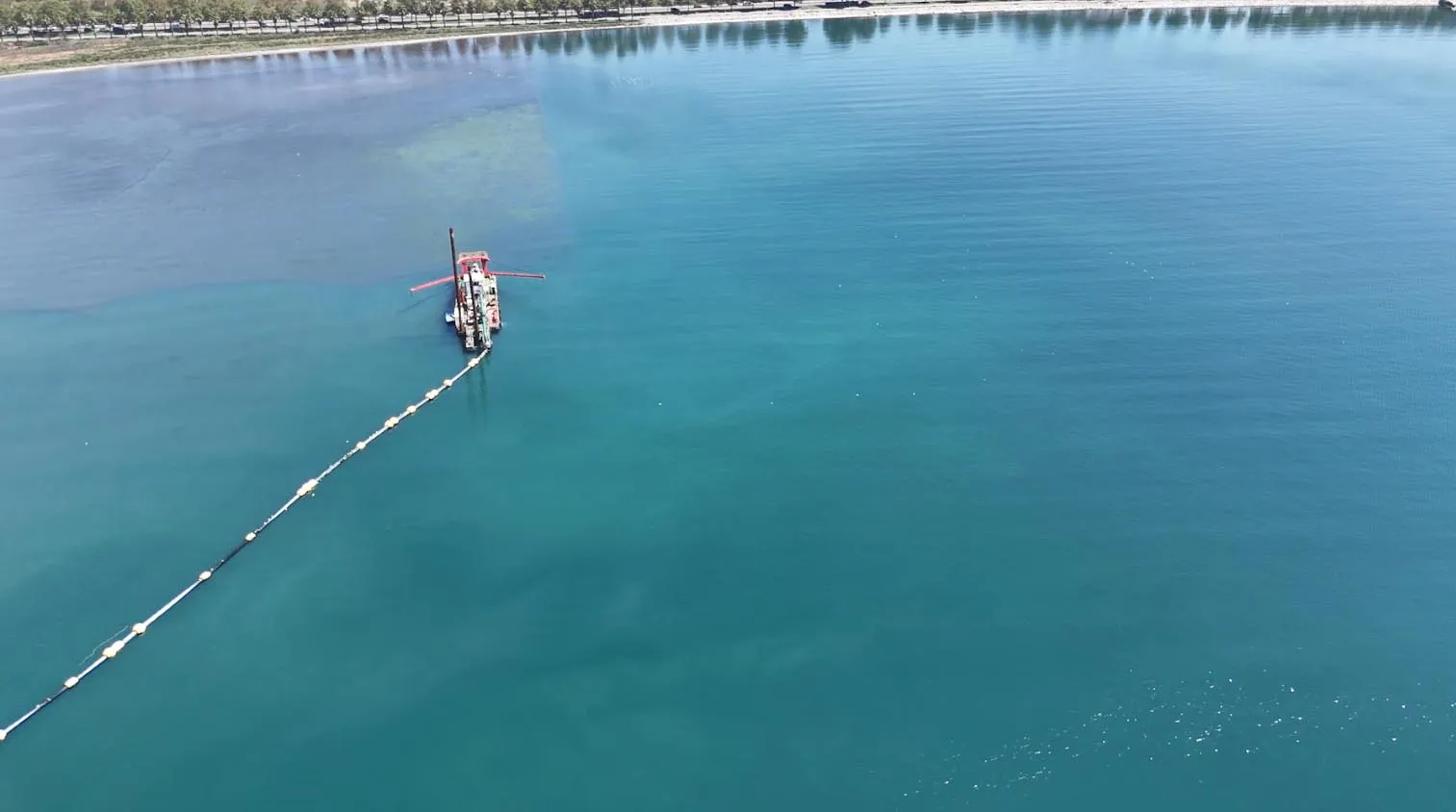 İzmit Körfezi temizlendi deniz canlıları geri döndü