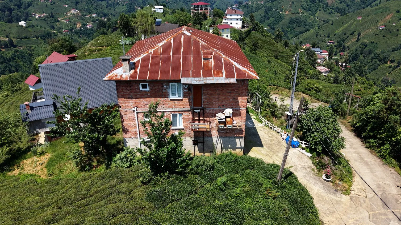 Rize’de arıcılar ayı saldırısına karşı asansör sistemi kurdu