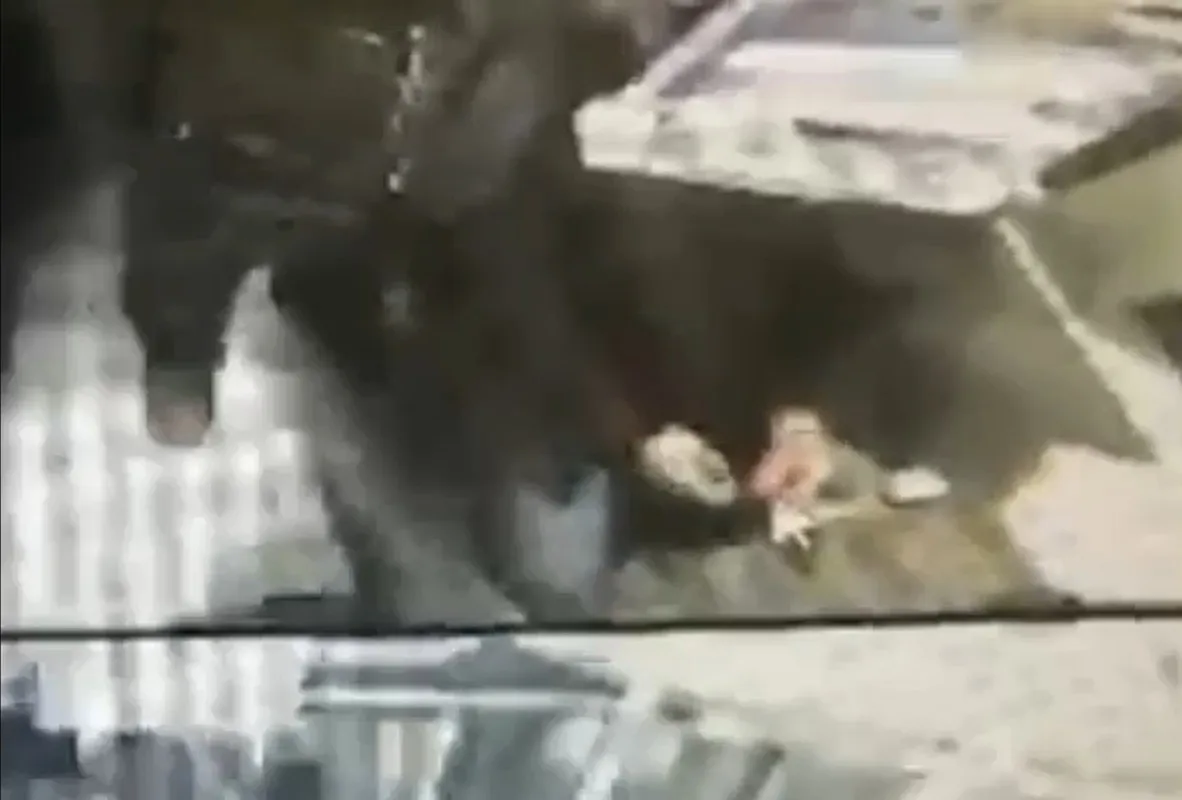 Mezdeke dansçısı cinayetinde yeni detaylar ortaya çıktı