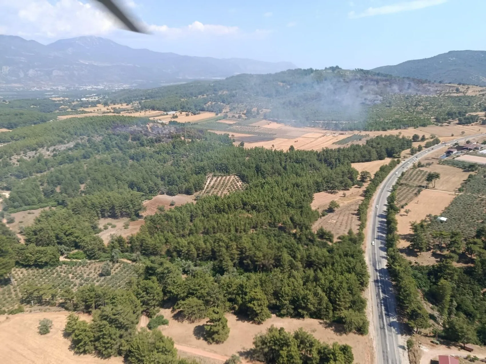 Seydikemer'de tarım arazisinde başlayan yangın ormana ulaştı