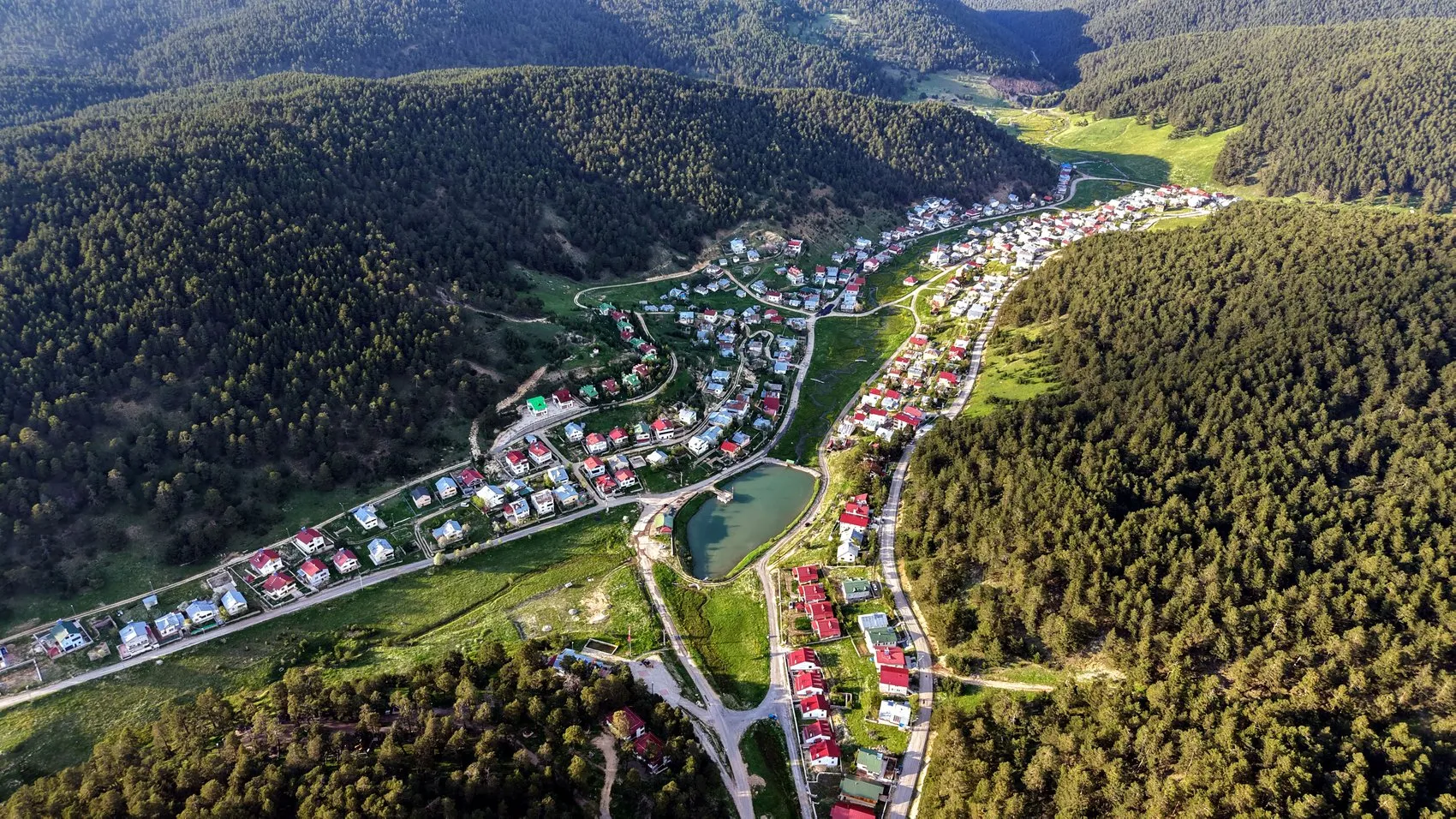 Sivas Eğriçimen Yaylası bu mevsimde çiçek tarlasına dönüştü