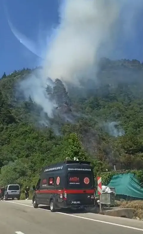 Bursa Osmangazi orman yangınıyla mücadele ediyor