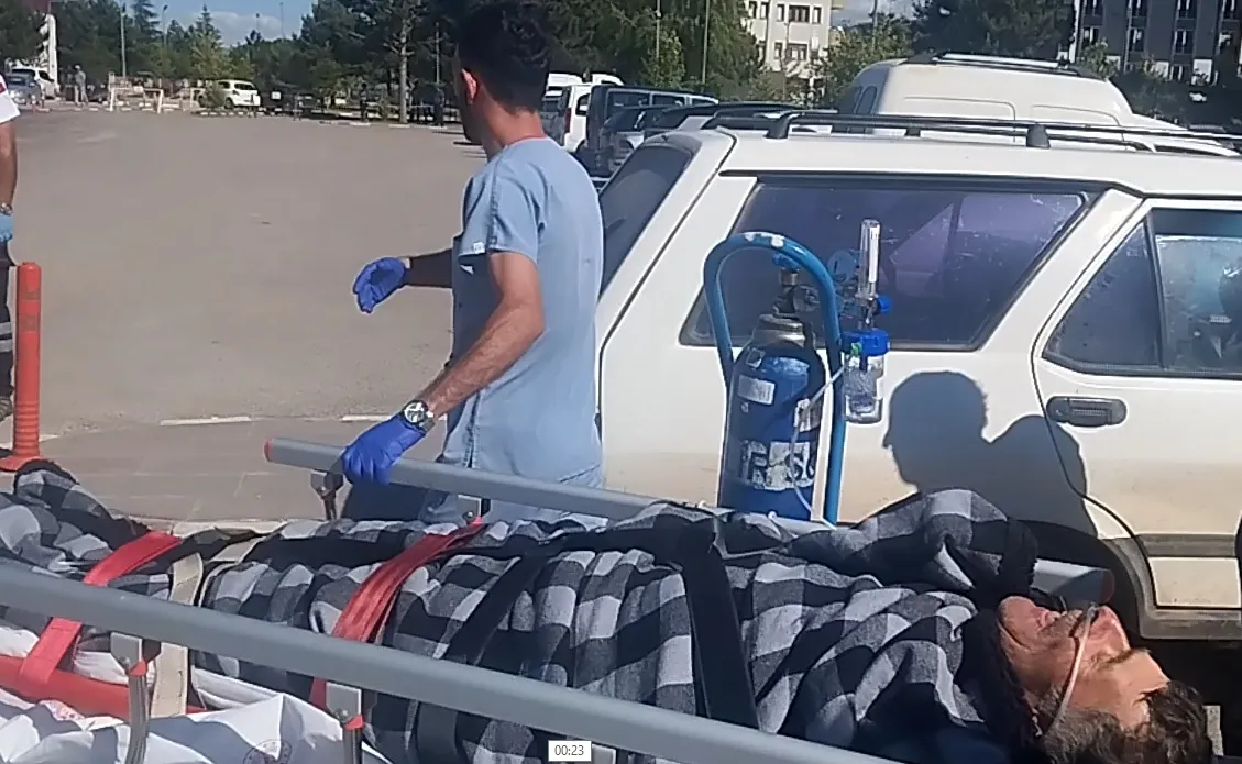Sivas'ta çobanı ayıdan kangal köpekleri kurtardı