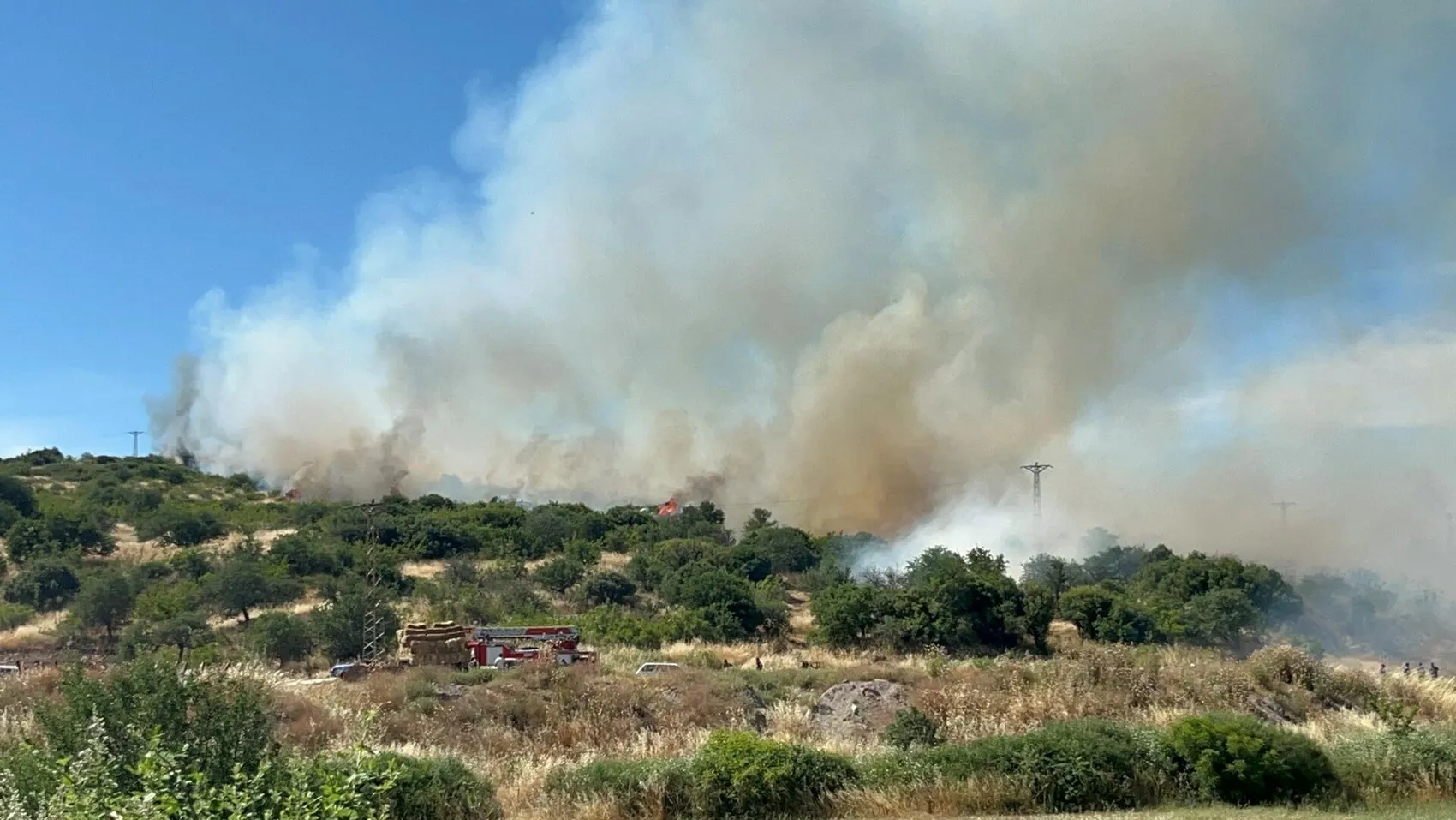 Ezine ormanlarında alevlerle zorlu mücadele