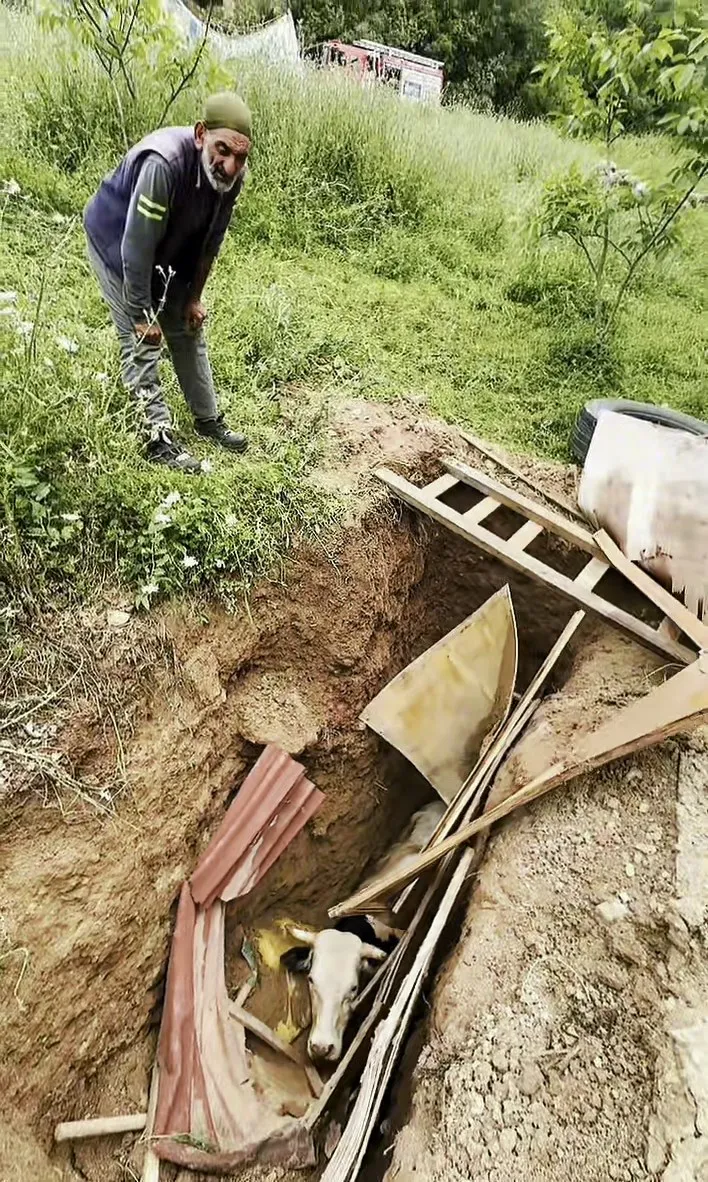 İzmit'te kuyuda mahsur kalan boğayı itfaiye ekipleri kurtardı