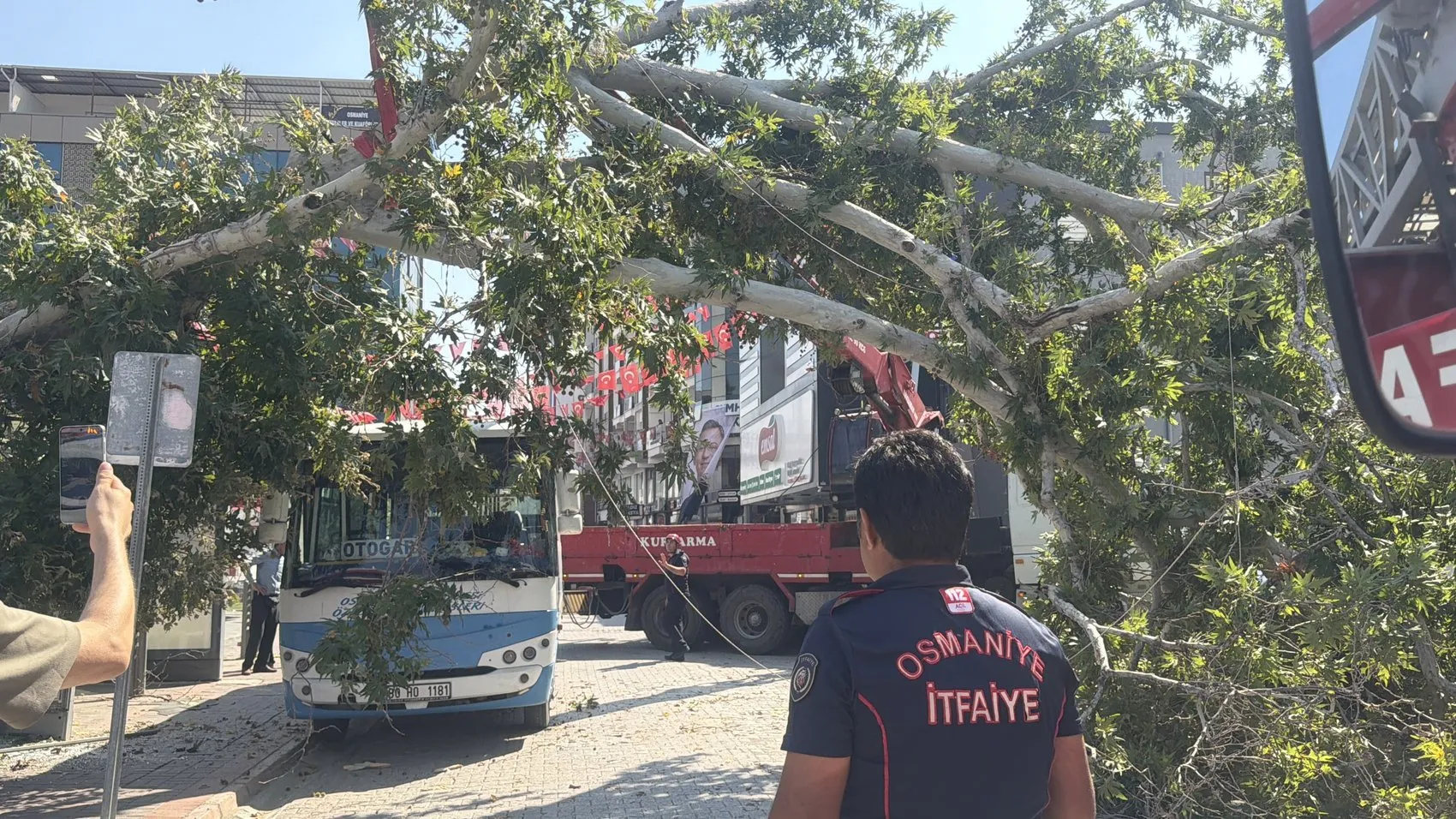 Osmaniye'de durakta bekleyen otobüsün üzerine ağaç devrildi