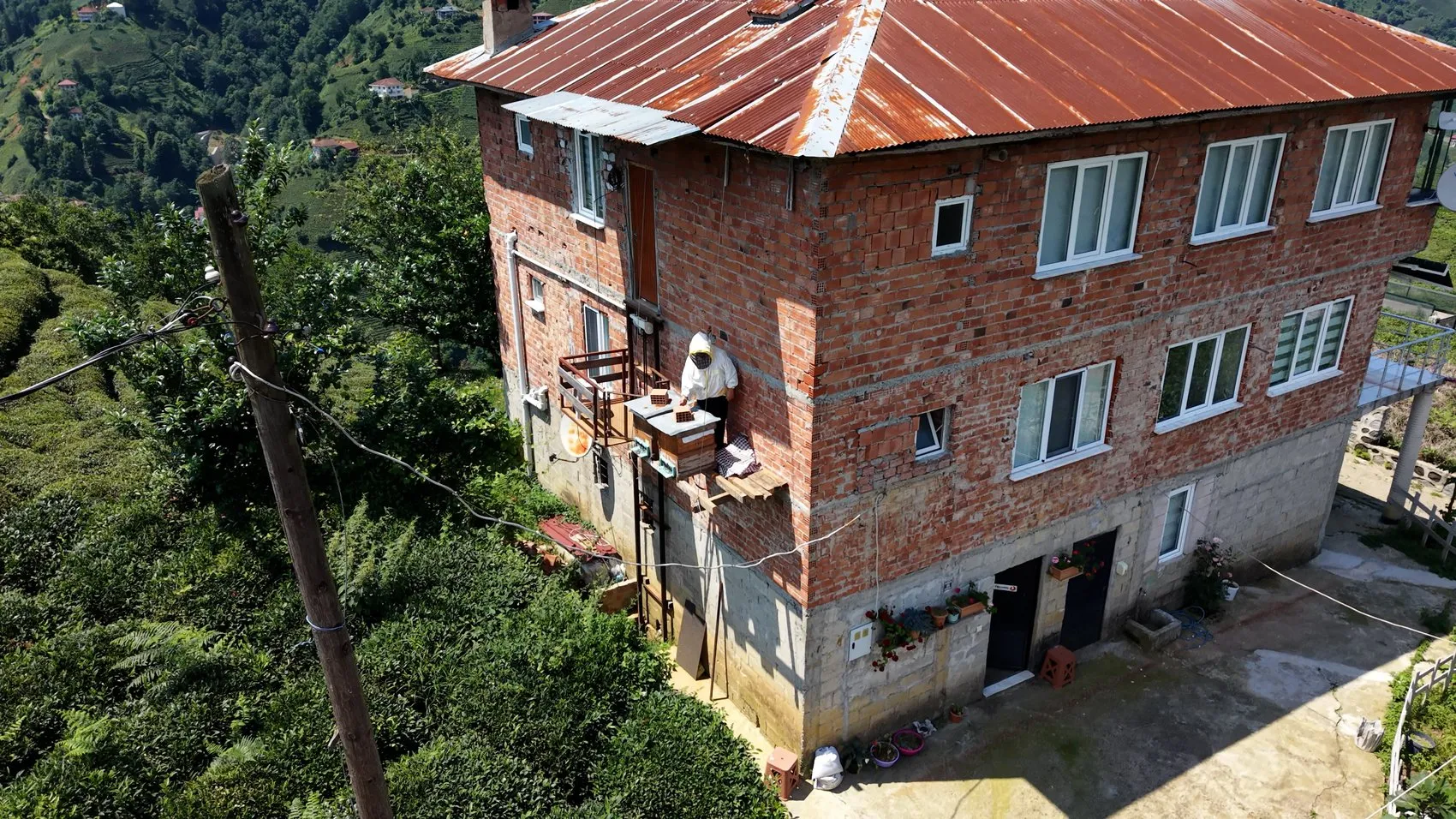 Rize’de arıcılar ayı saldırısına karşı asansör sistemi kurdu