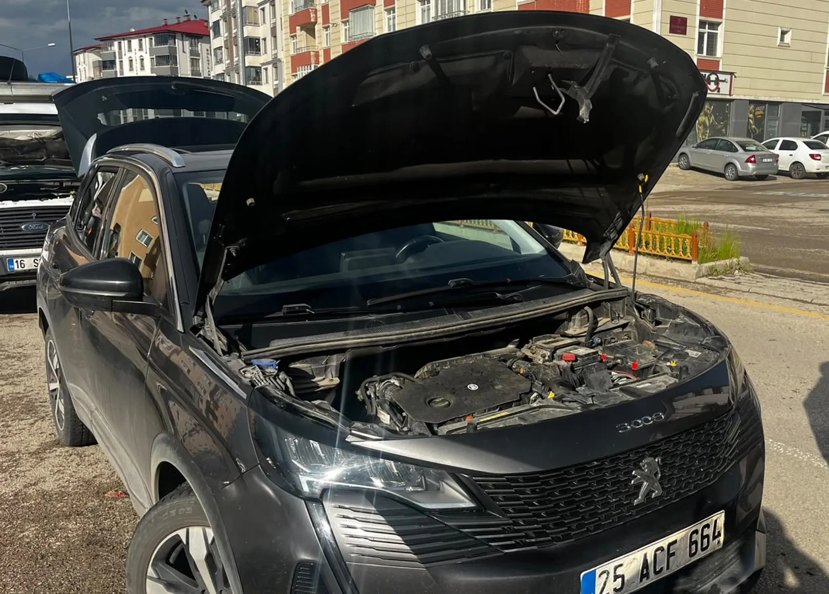 Erzurum'da otomobilin motoruna gizlenen yavrular itfaiye ile kurtarıldı