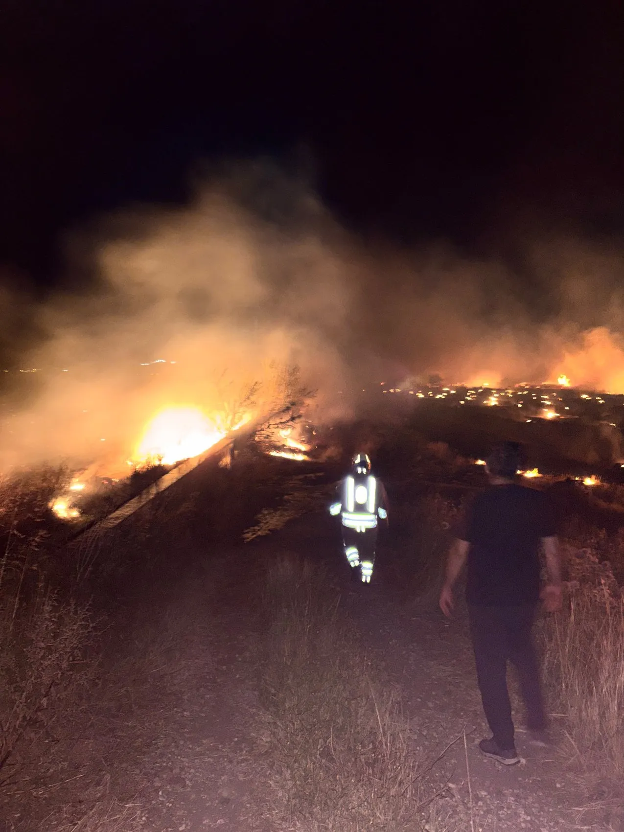 Hatay'da kontrolsüz anız ateşi 200 dönüm zeytinliği kül etti