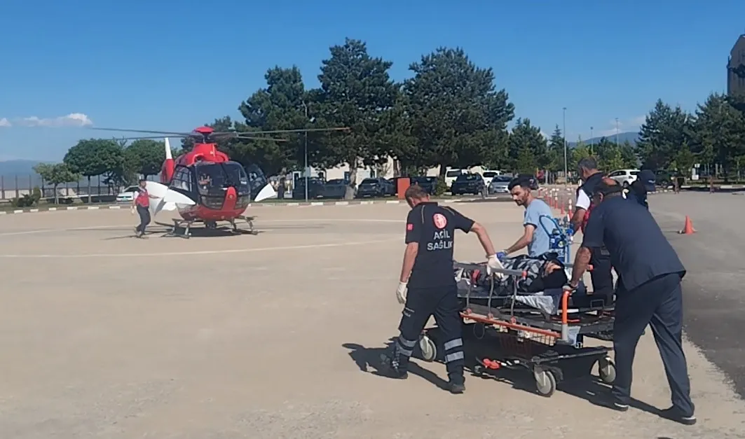 Sivas'ta çobanı ayıdan kangal köpekleri kurtardı