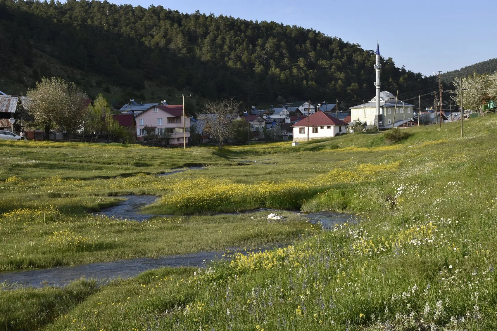 Sivas Eğriçimen Yaylası sonbaharın tüm renklerine büründü