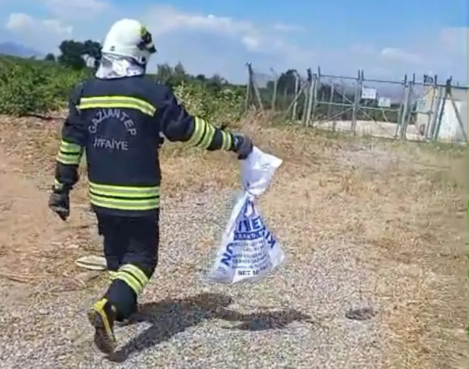 Gaziantep’te bir evin mutfağında davetsiz misafir paniği