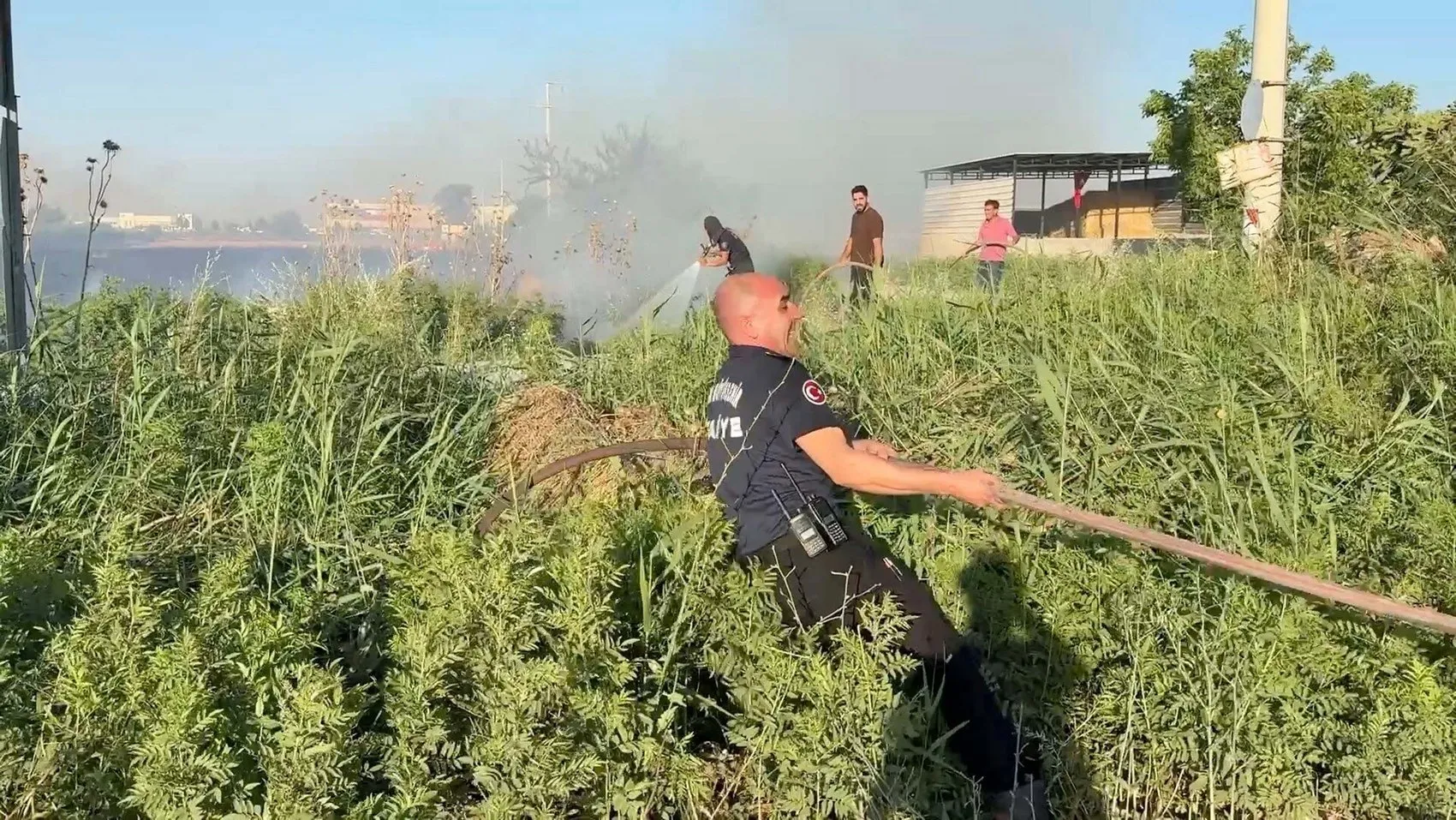 Aydın Efeler'de 35 dönüm buğday tarlası küle döndü