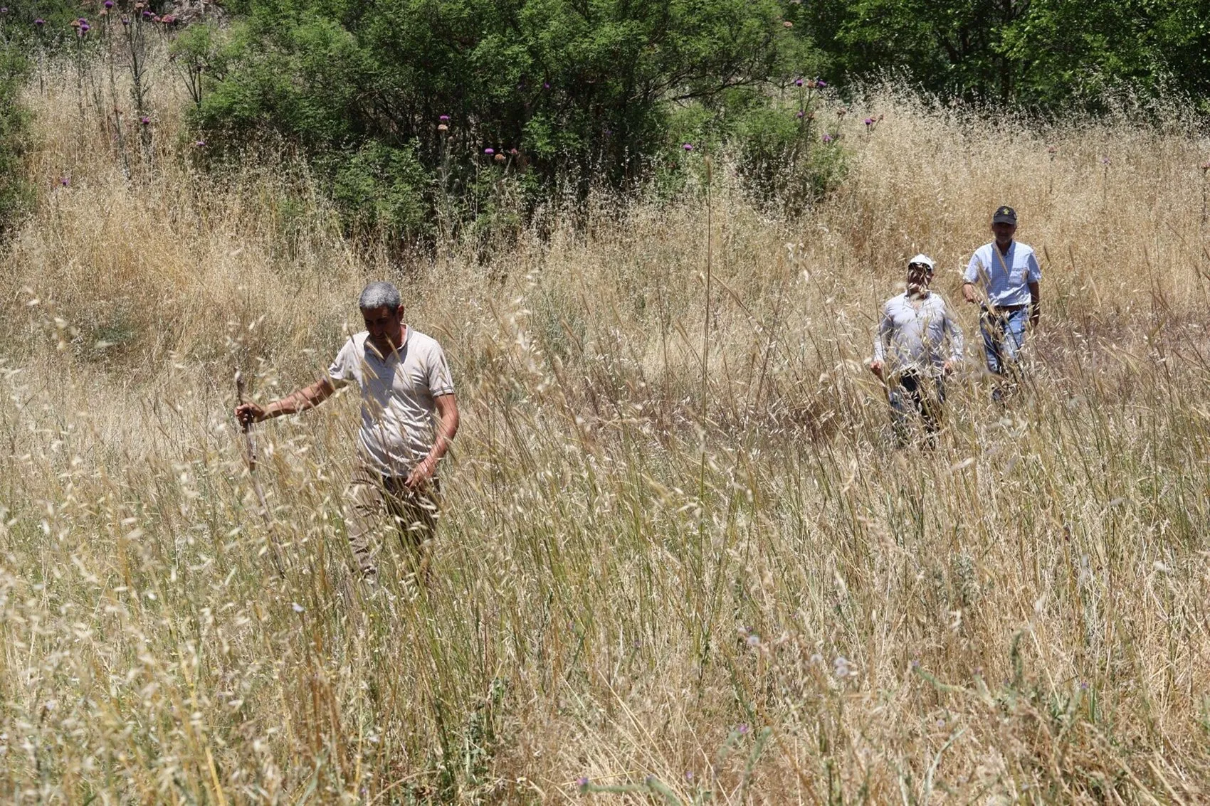 Muğla'da kayıp 84 yaşındaki Gülayşe Çoban ölü bulundu
