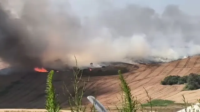 Büyükçekmece tarlalarında yangın paniği