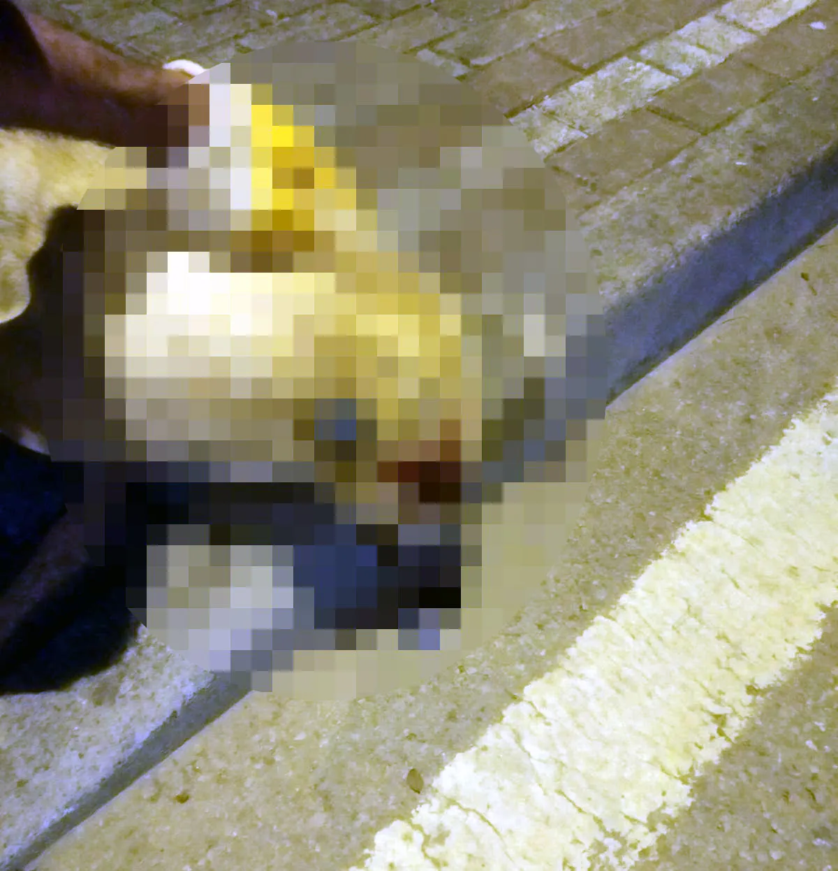 Köpeği vuran kasabın beraat kararı istinaftan döndü