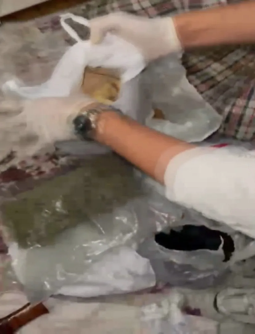 Ümraniye'deki adrese baskın Silah ve uyuşturucuyla yakalandılar