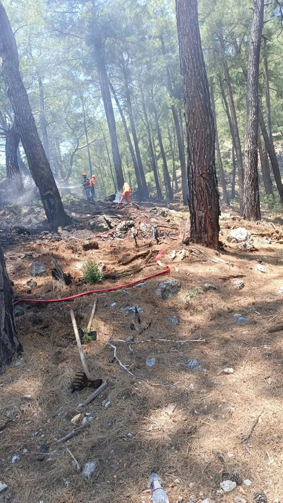 Fethiye’de kamyonet yangını ormana sıçradı