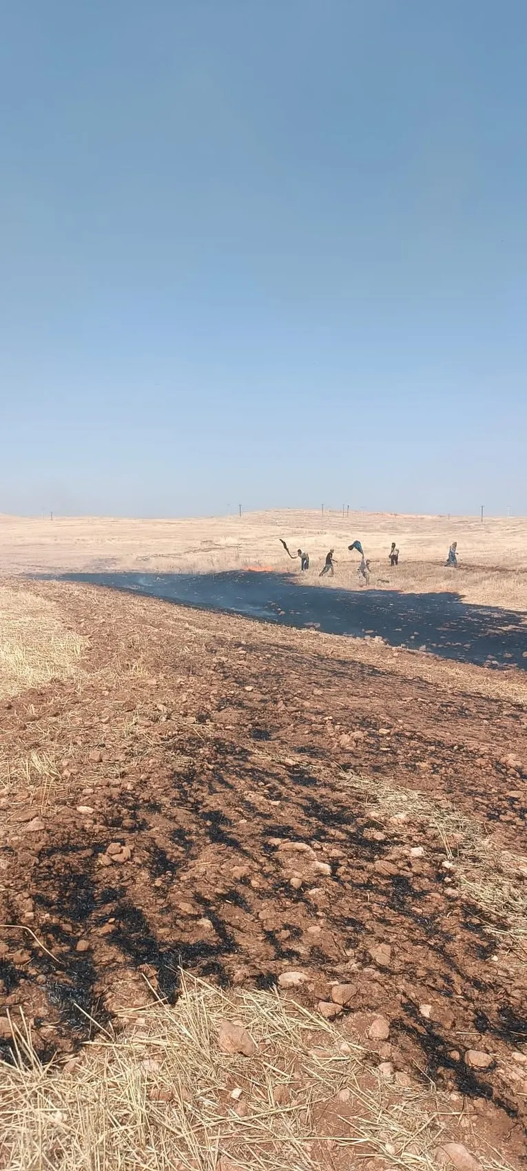 Mardin'de anız yangını köye sıçradı