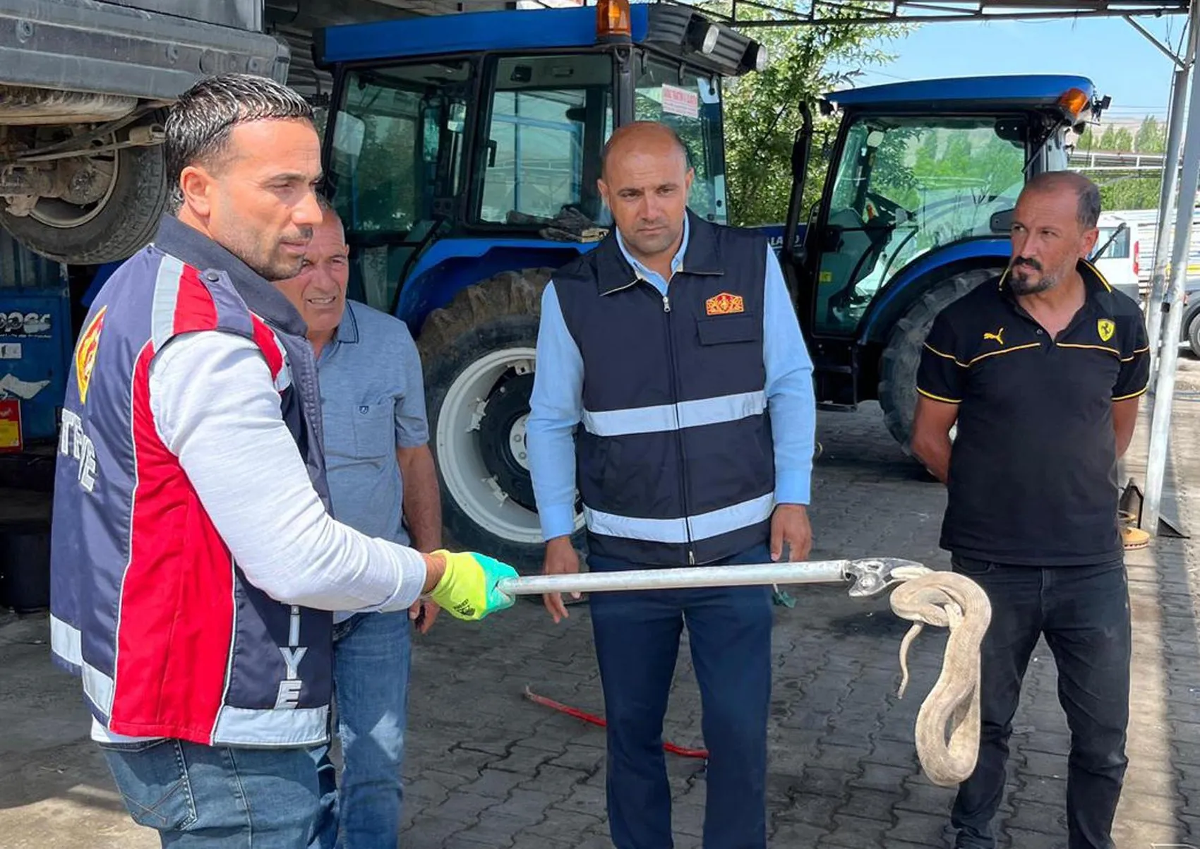 Iğdır'da otomobilin motoruna saklanan davetsiz misafir