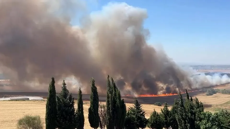 Büyükçekmece tarlalarında yangın paniği