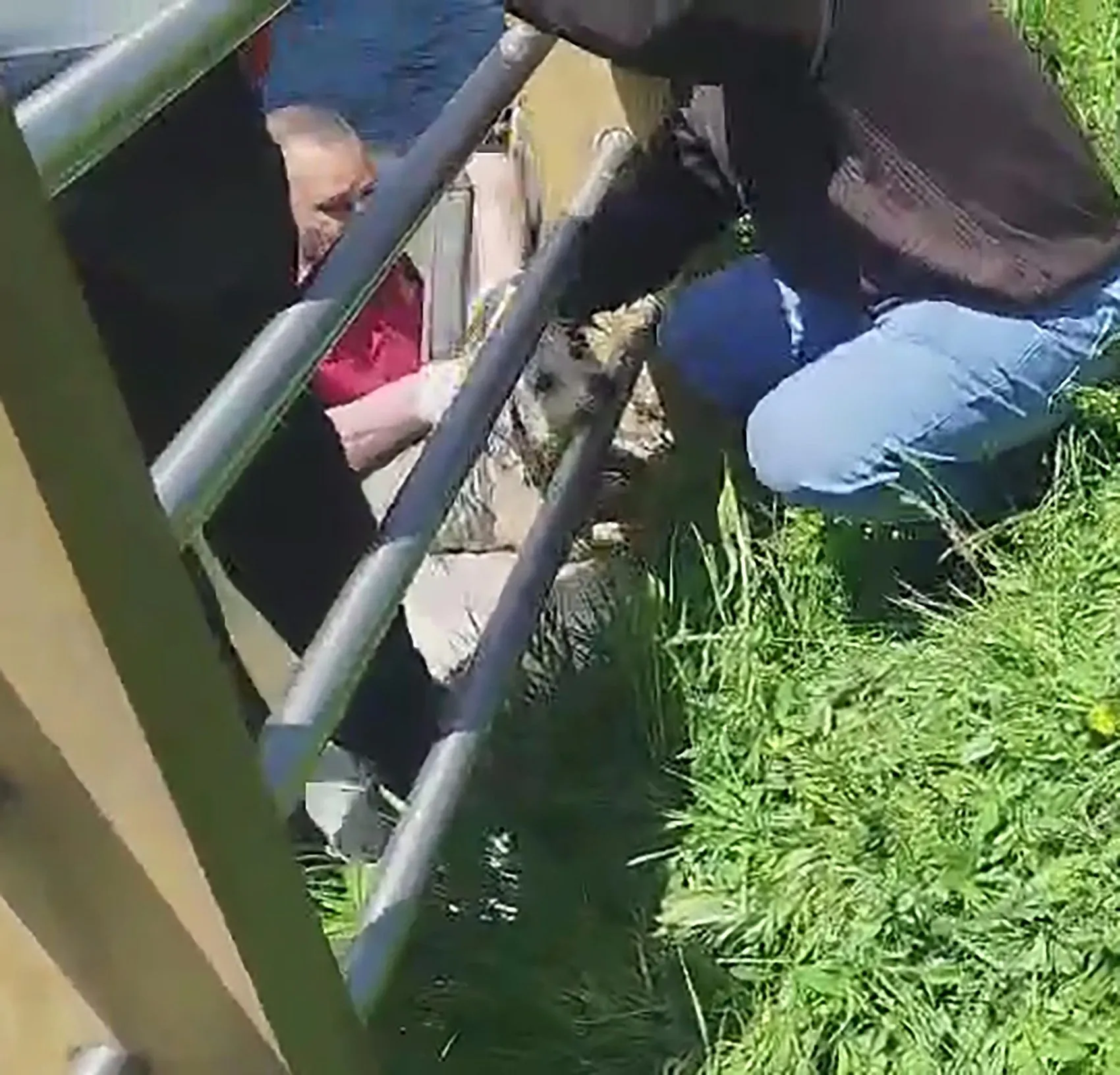 Kars Çayı'nda boğulmaktan son anda kurtarıldı